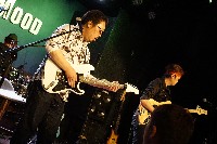 [_DSC1465.JPG]