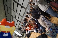 [_DSC0867.JPG]