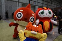 [_DSC0911.JPG]