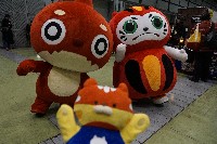 [_DSC0914.JPG]